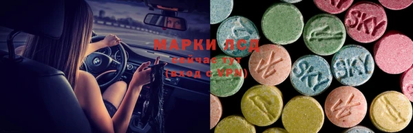 spice Россошь