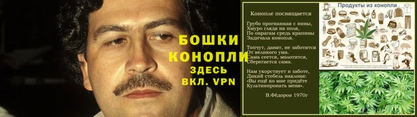крисы Богородск