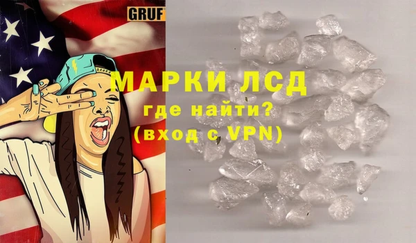 ПСИЛОЦИБИНОВЫЕ ГРИБЫ Богданович