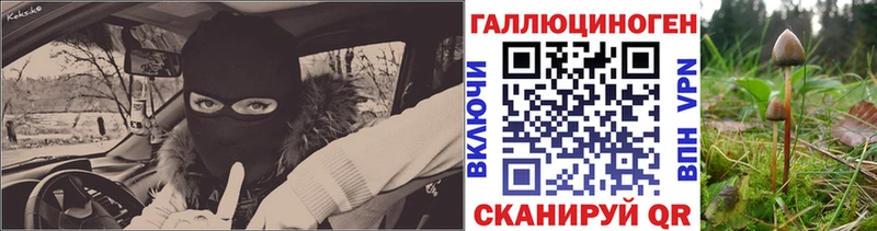 Псилоцибиновые грибы ЛСД  Купить где  Бакал 
